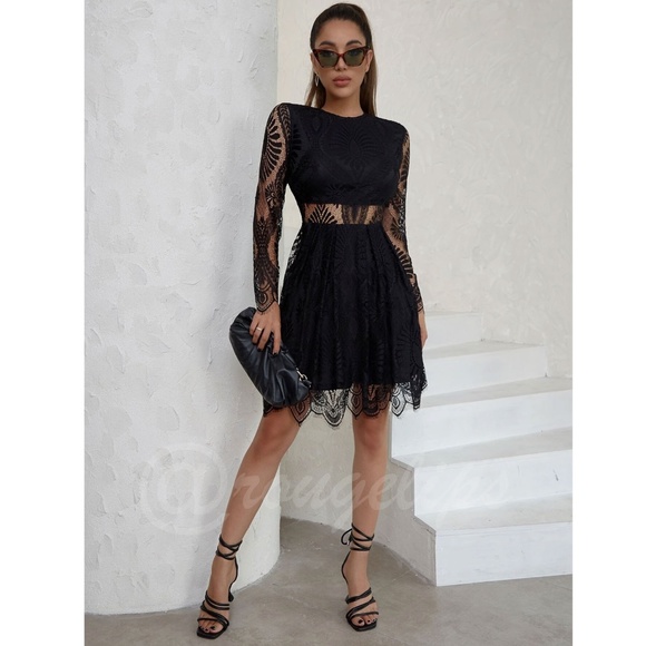 Black Elegant Dress Scallop Trim, Zipper Closure Long Sleeve Short, Mini, Lace - Picture 6 of 10